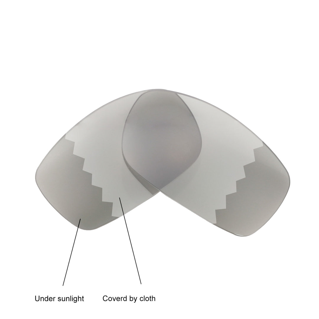 Transition Polarized