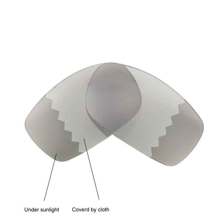 Transition Polarized