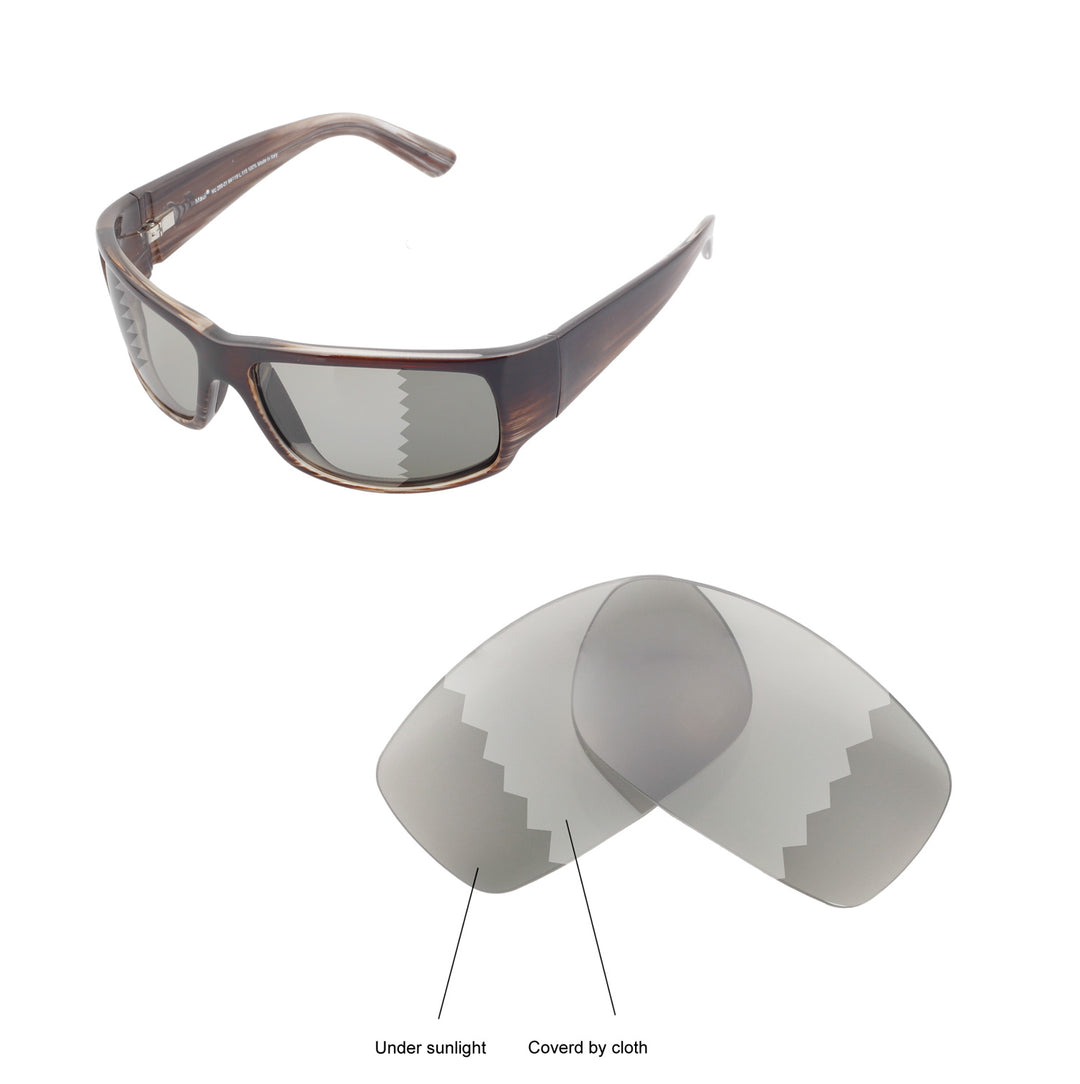 Transition Polarized