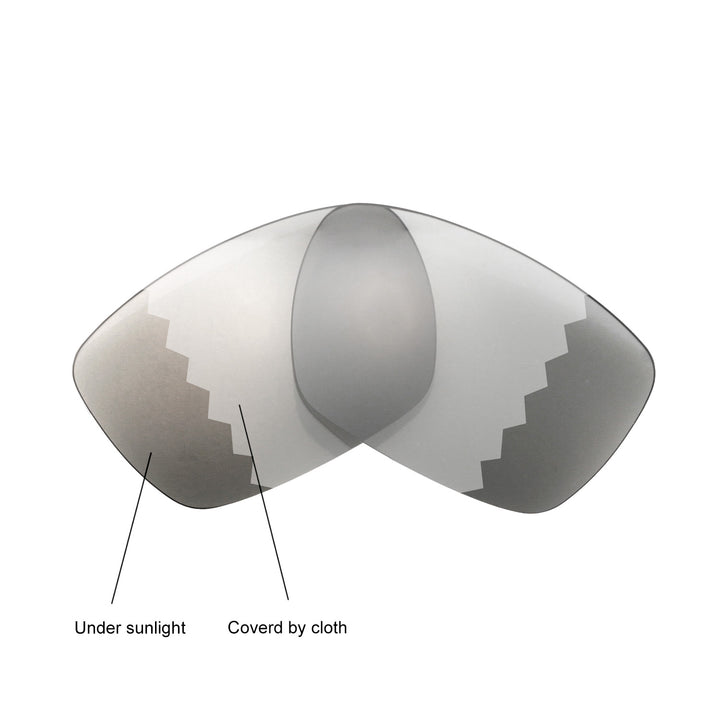 Transition Polarized