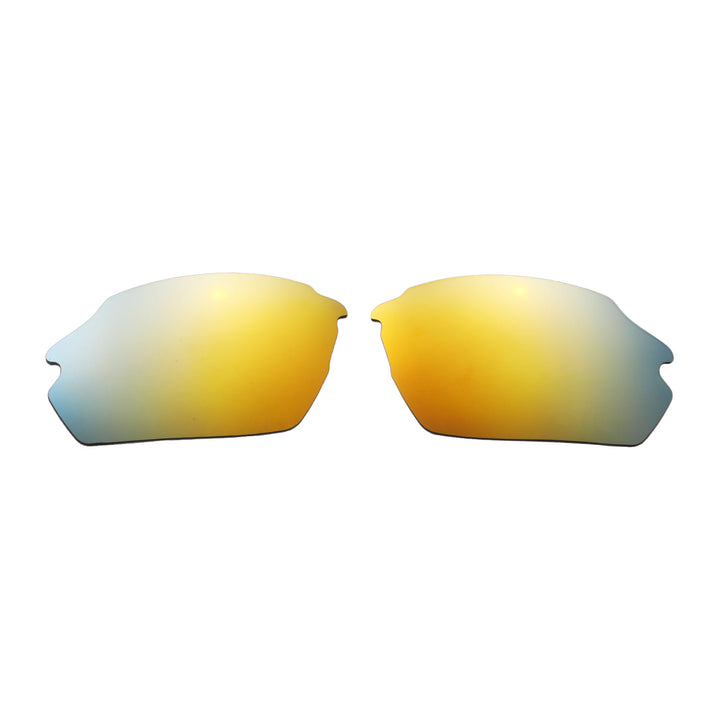 24K Gold Polarized