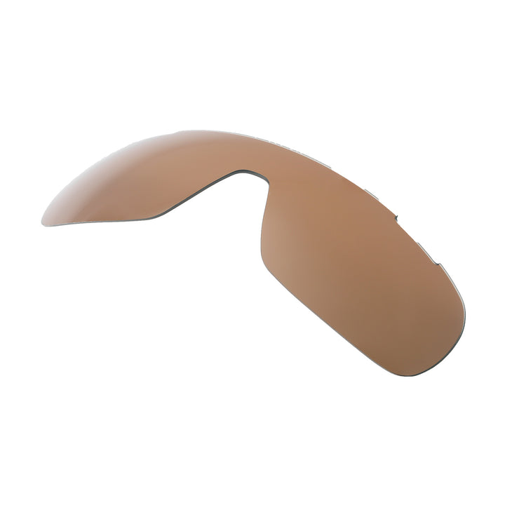 Brown Polarized