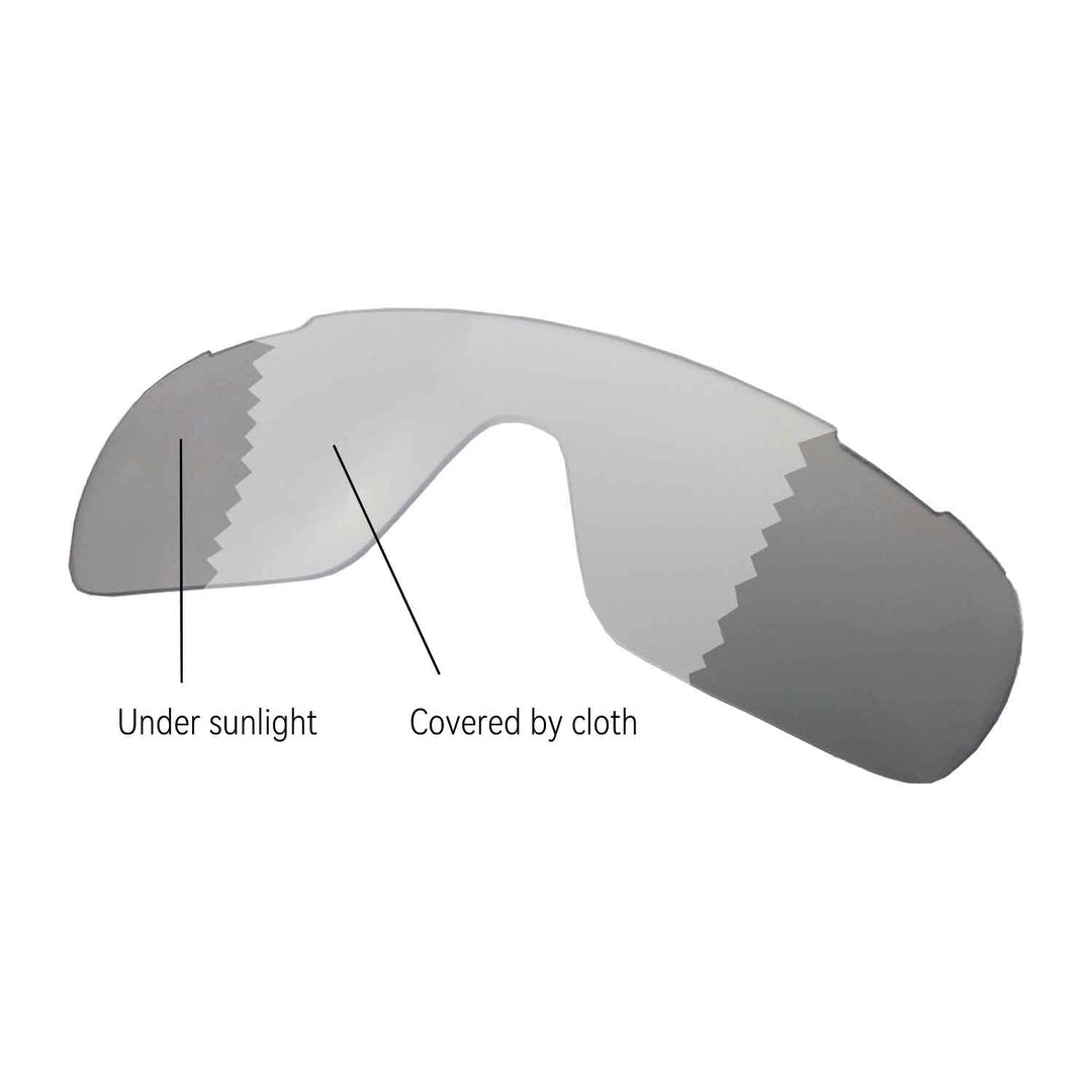 Transition Polarized