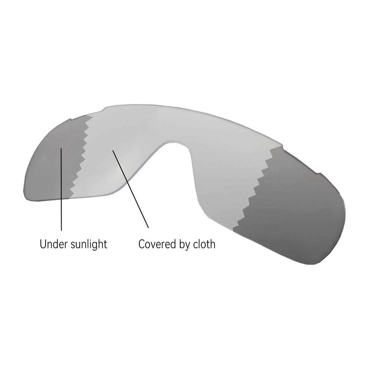 Transition Polarized