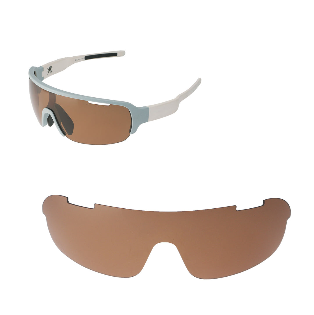 Brown Polarized