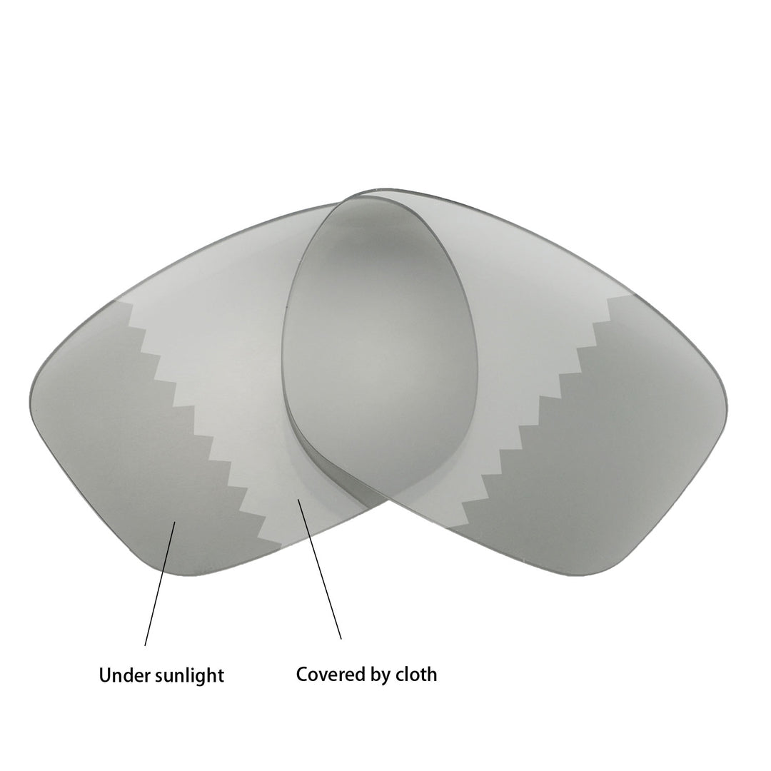 Transition Polarized