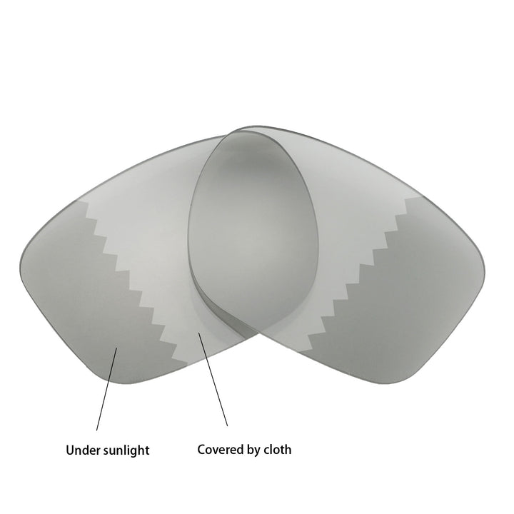 Transition Polarized
