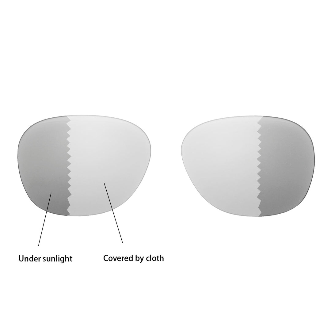 Transition Polarized