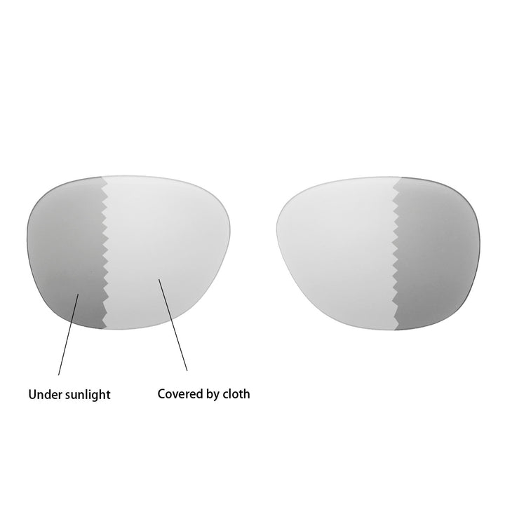 Transition Polarized