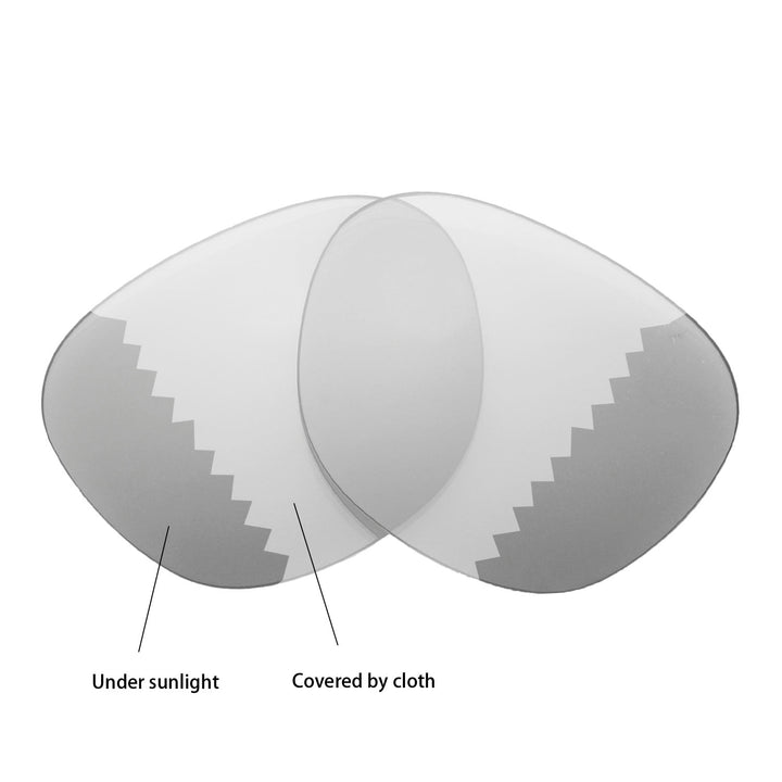 Transition Polarized