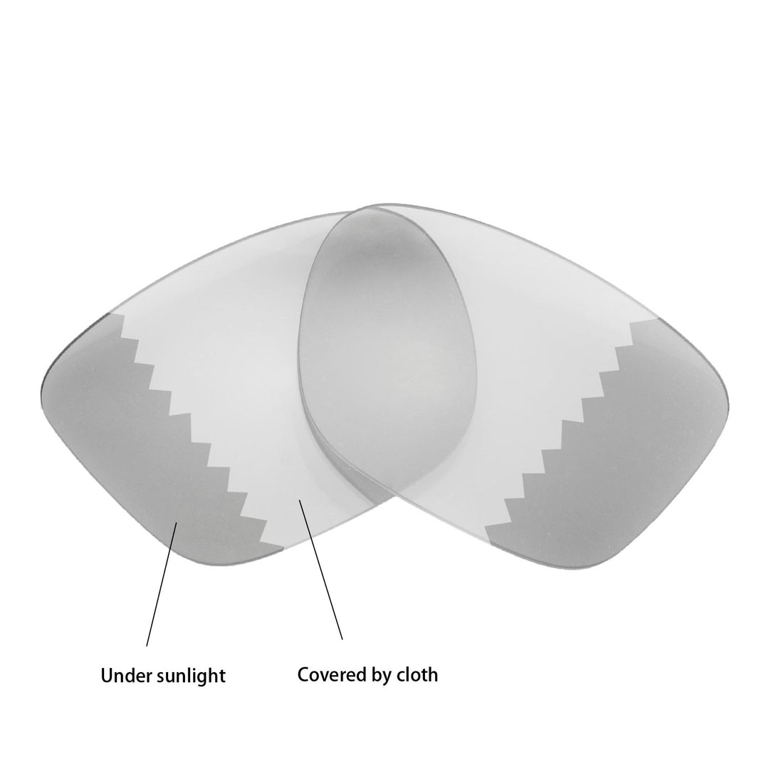 Transition Polarized
