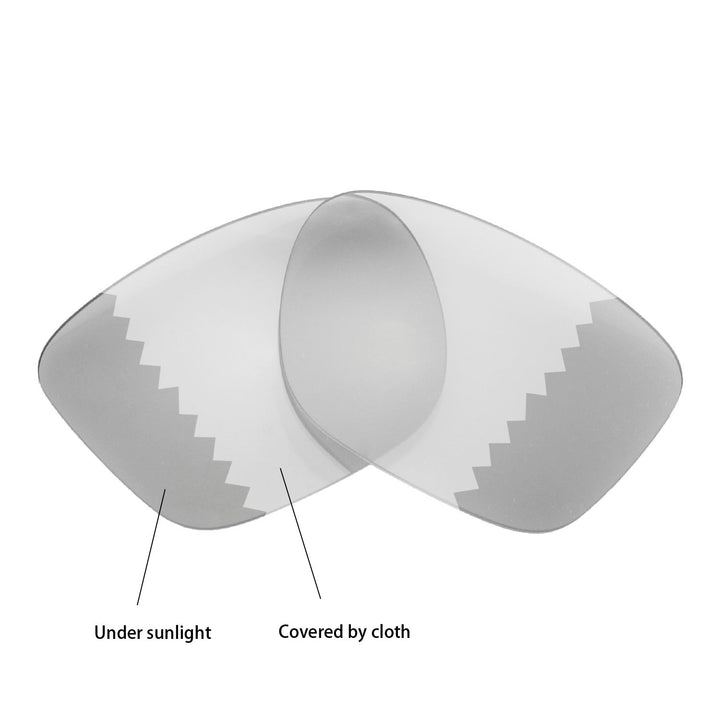 Transition Polarized