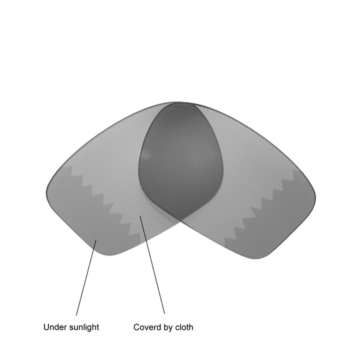 Transition Polarized