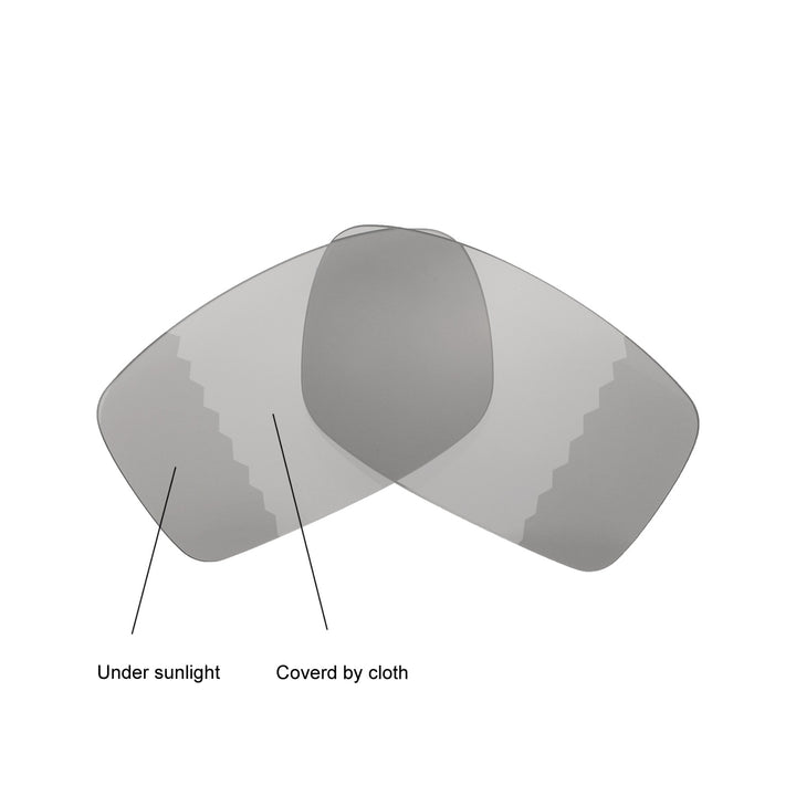 Transition Polarized