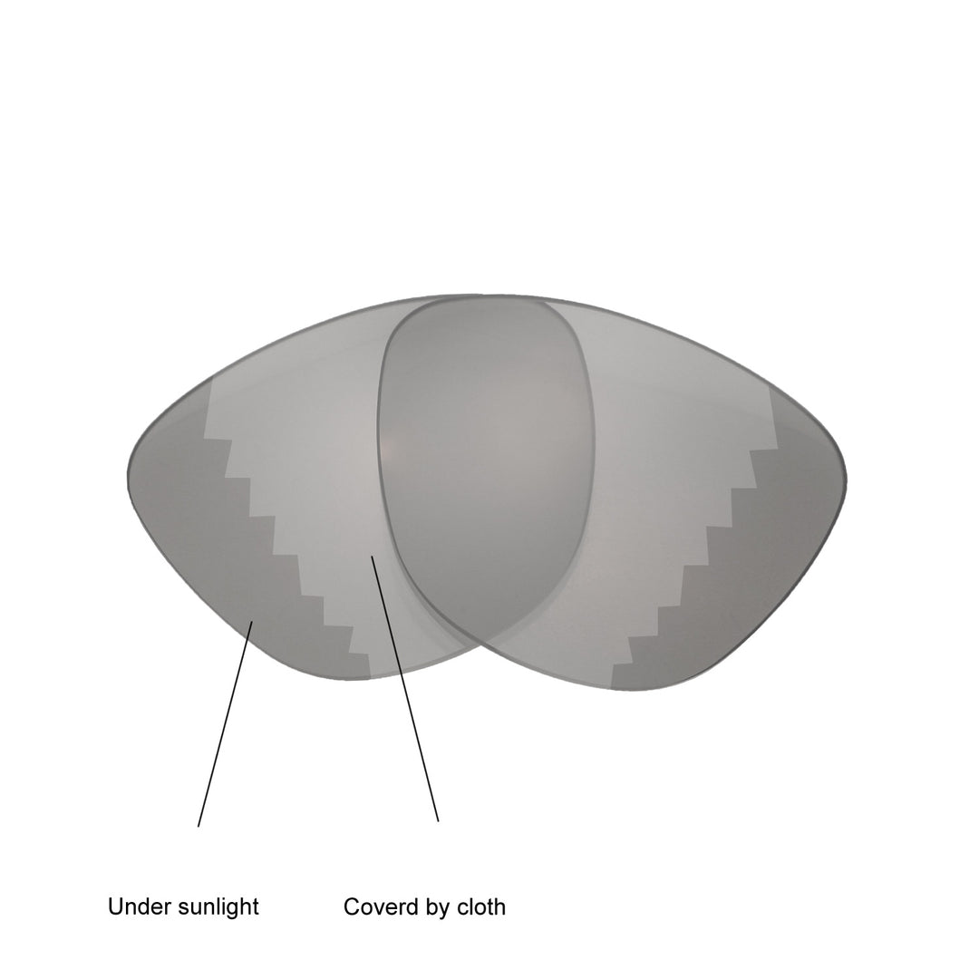 Transition Polarized
