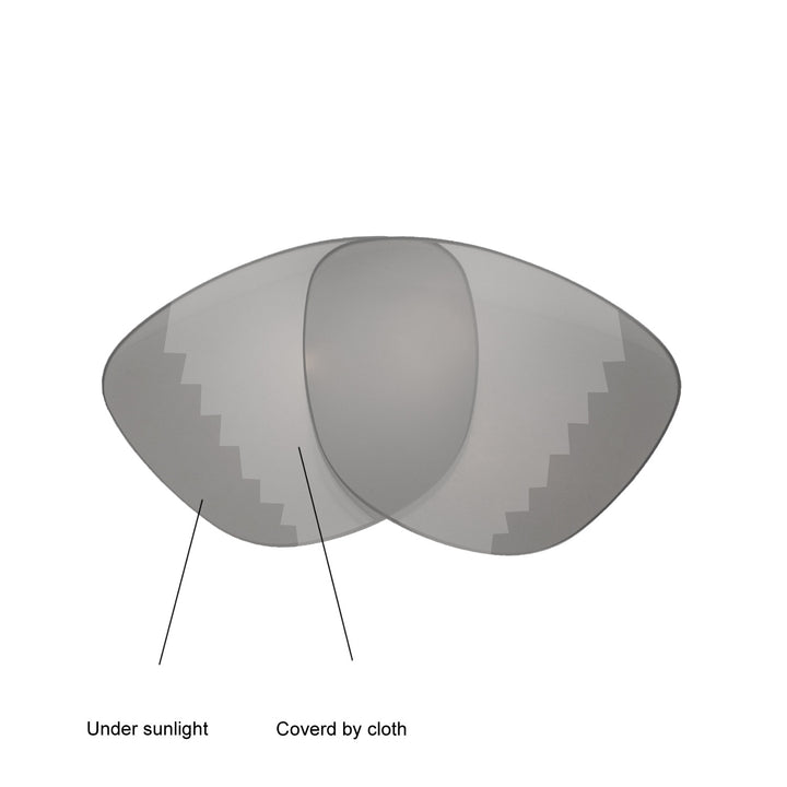 Transition Polarized