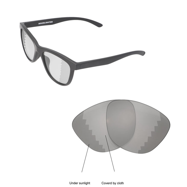 Transition Polarized