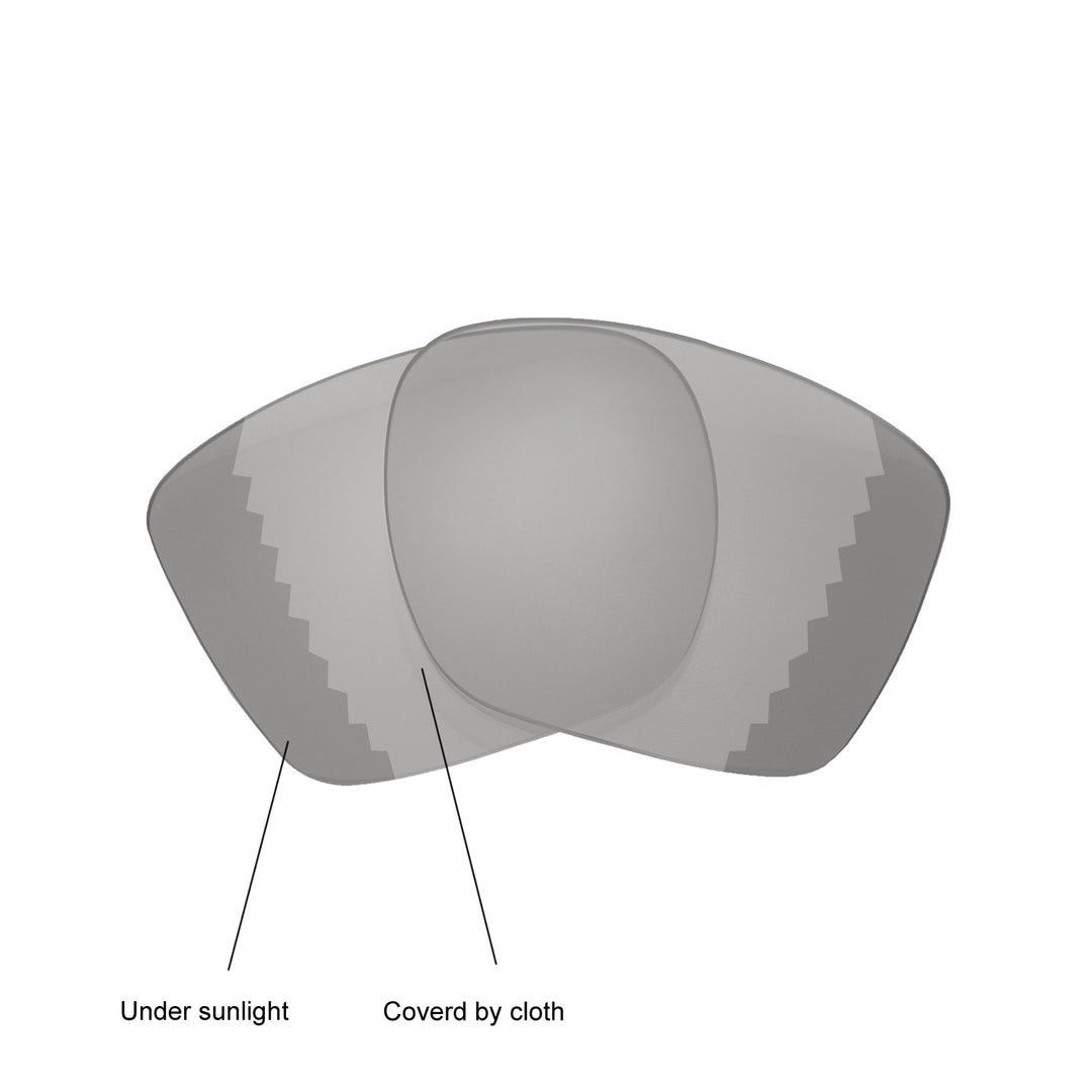 Transition Polarized