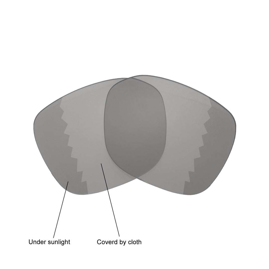 Transition Polarized