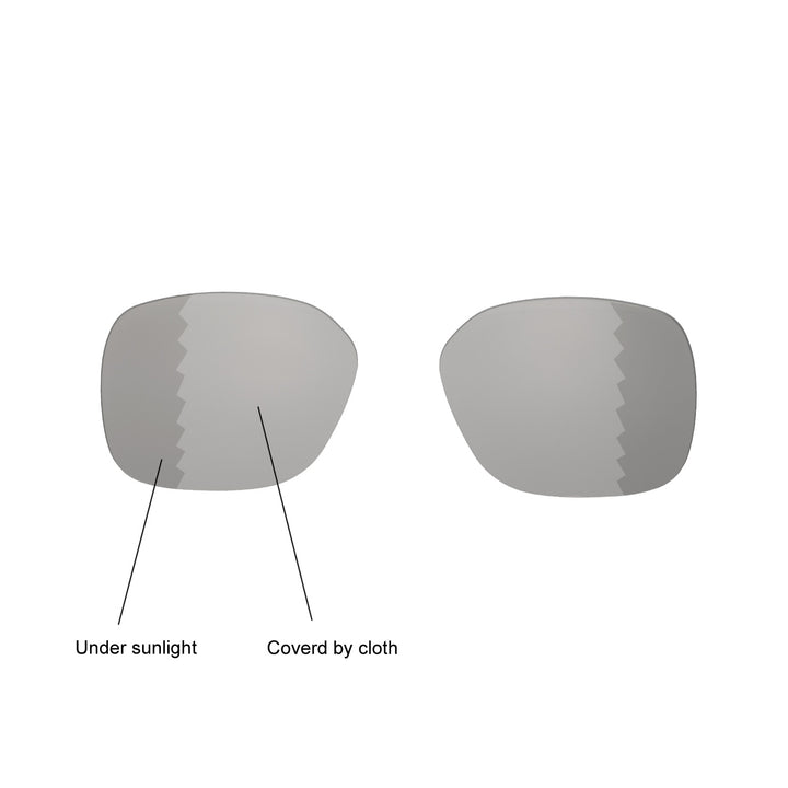 Transition Polarized
