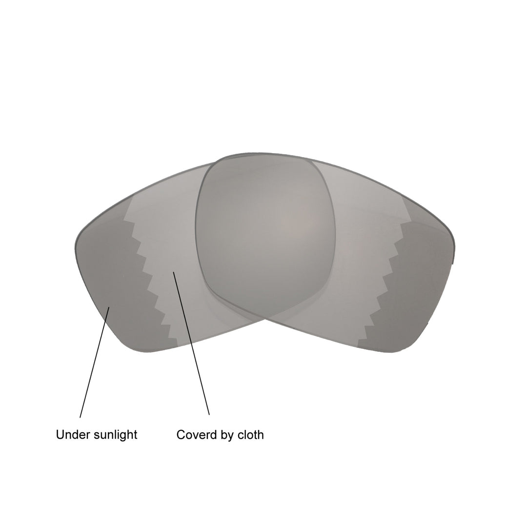 Transition Polarized