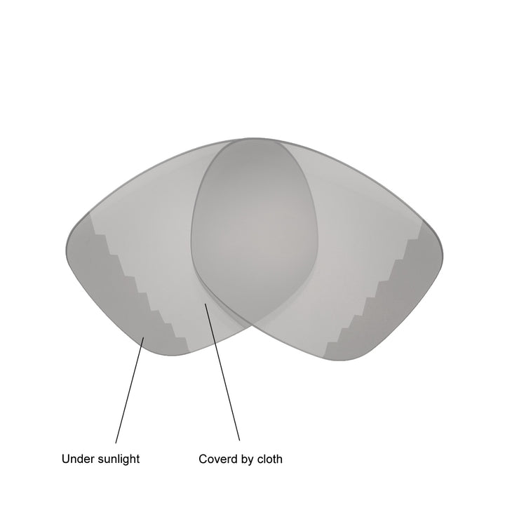 Transition Polarized