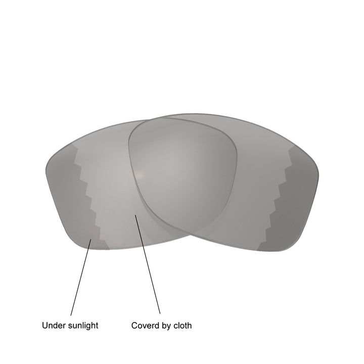 Transition Polarized