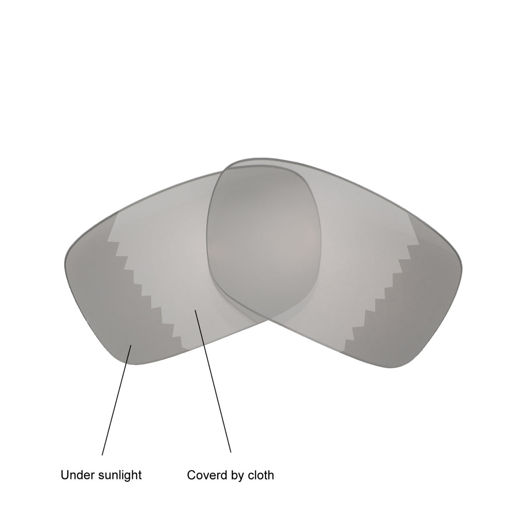 Transition Polarized