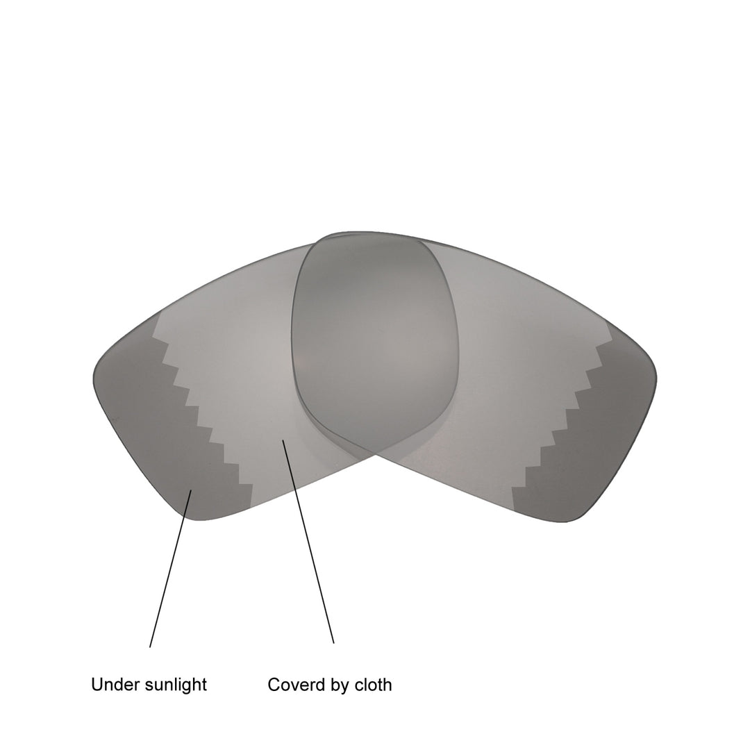 Transition Polarized