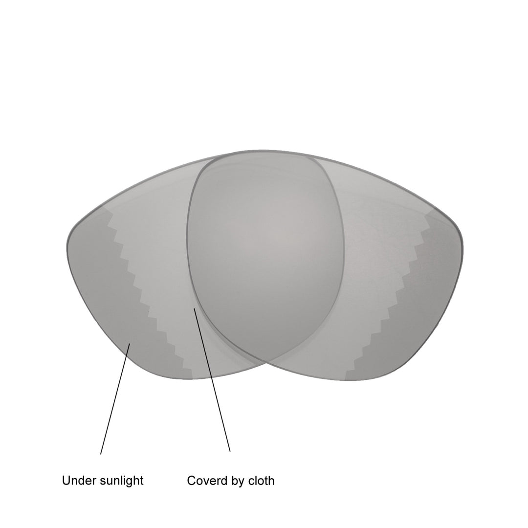 Transition Polarized
