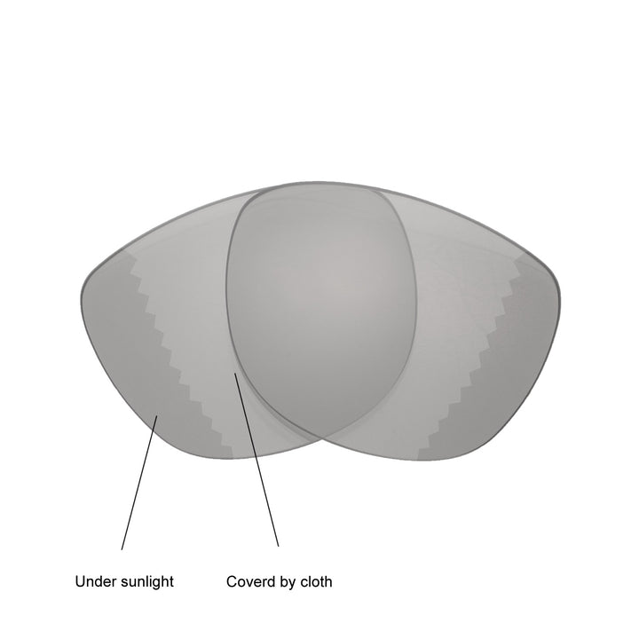 Transition Polarized