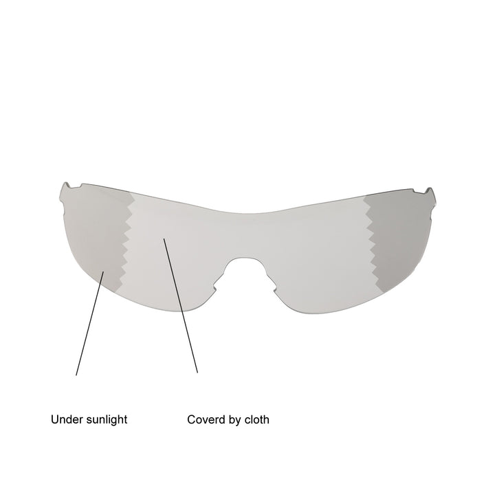 Transition Polarized