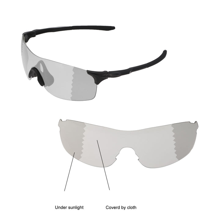 Transition Polarized