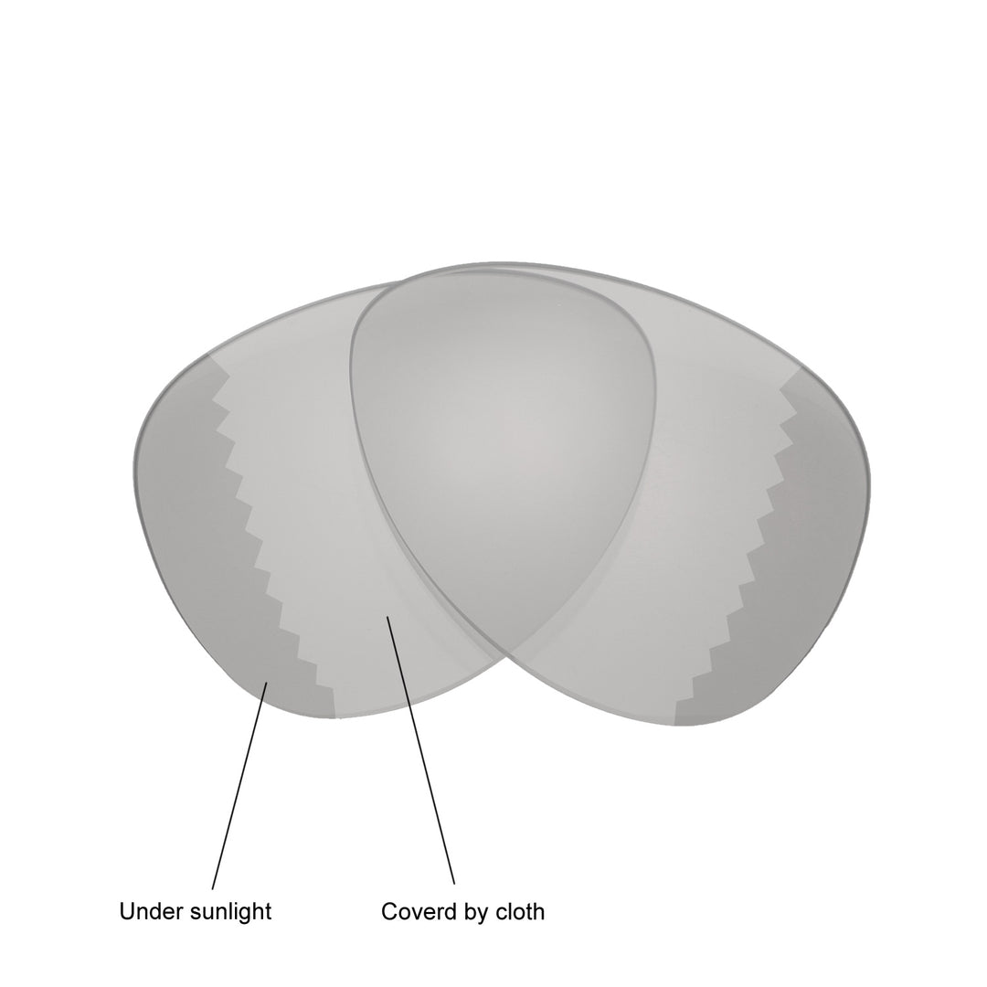 Transition Polarized