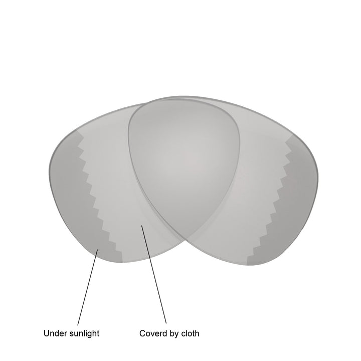 Transition Polarized