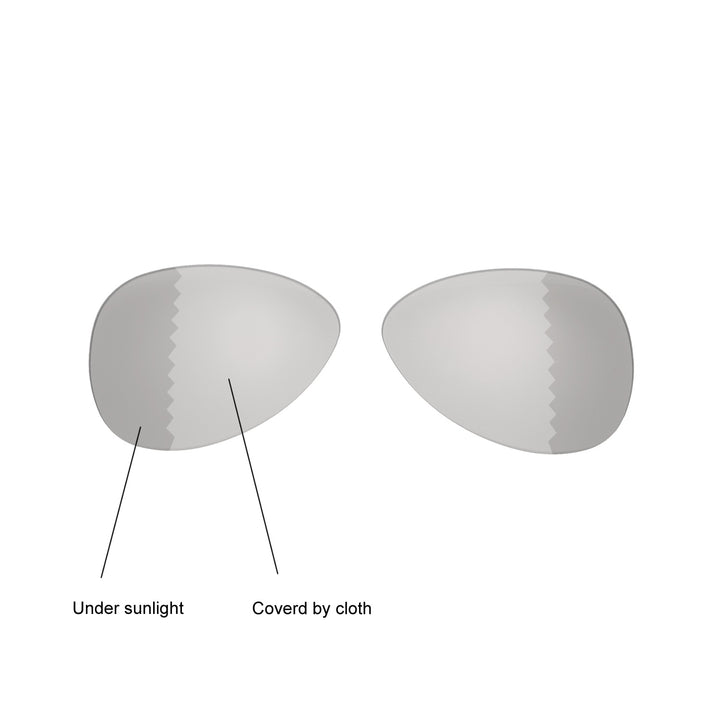 Transition Polarized