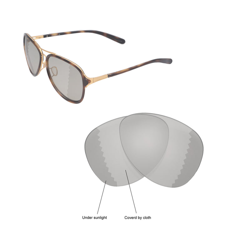 Transition Polarized