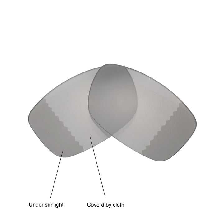 Transition Polarized