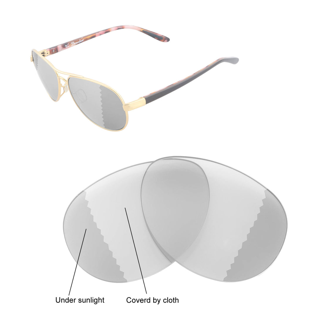 Transition Polarized