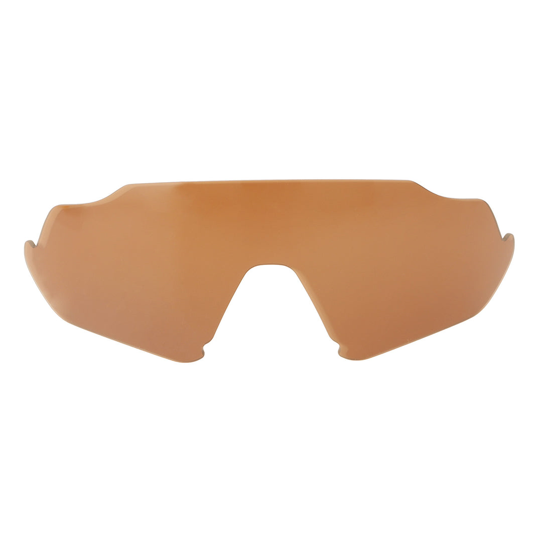 Brown Polarized
