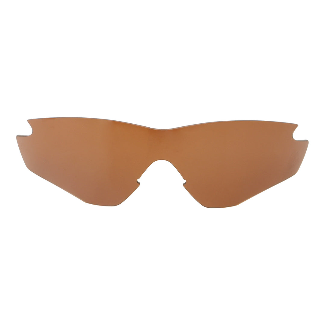 Brown Polarized