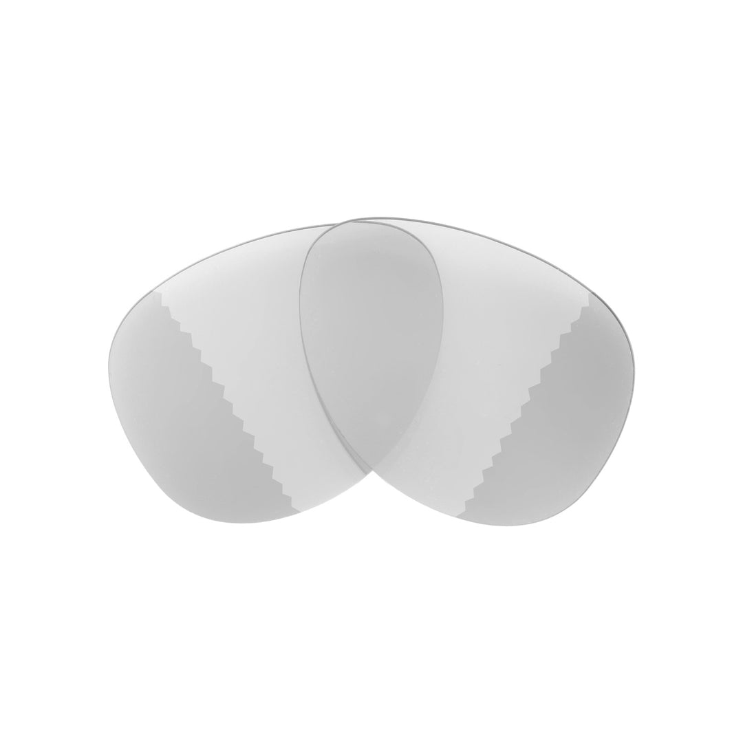 Transition Polarized