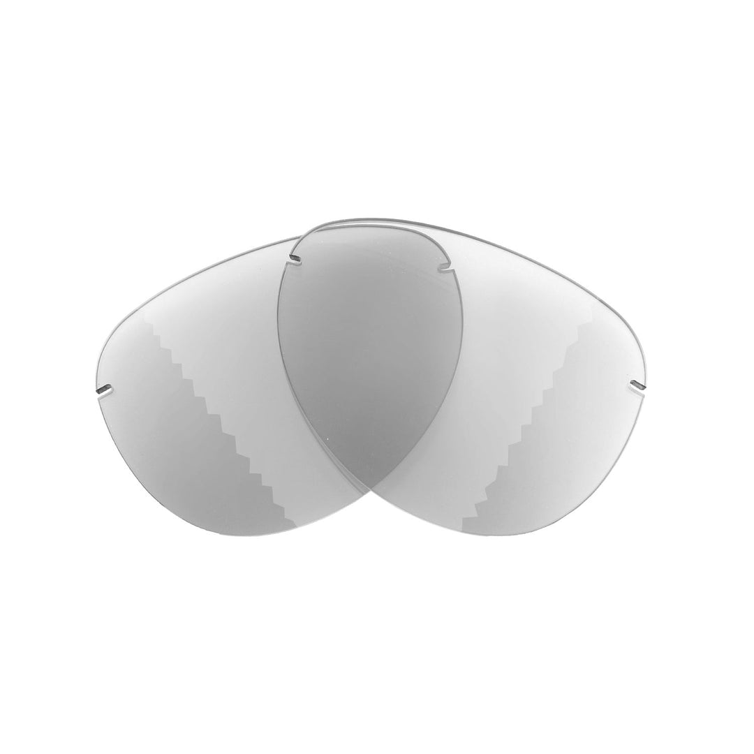 Transition Polarized