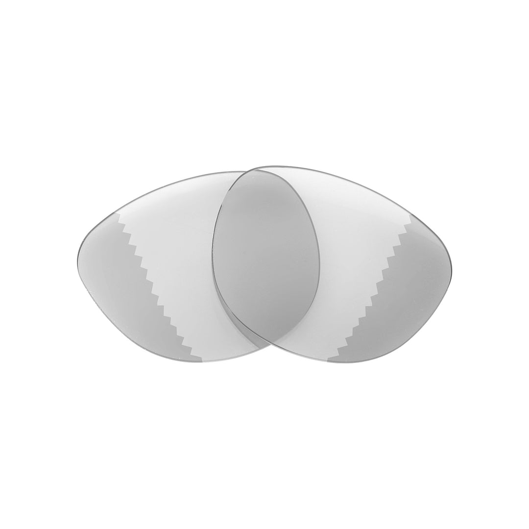 Transition Polarized