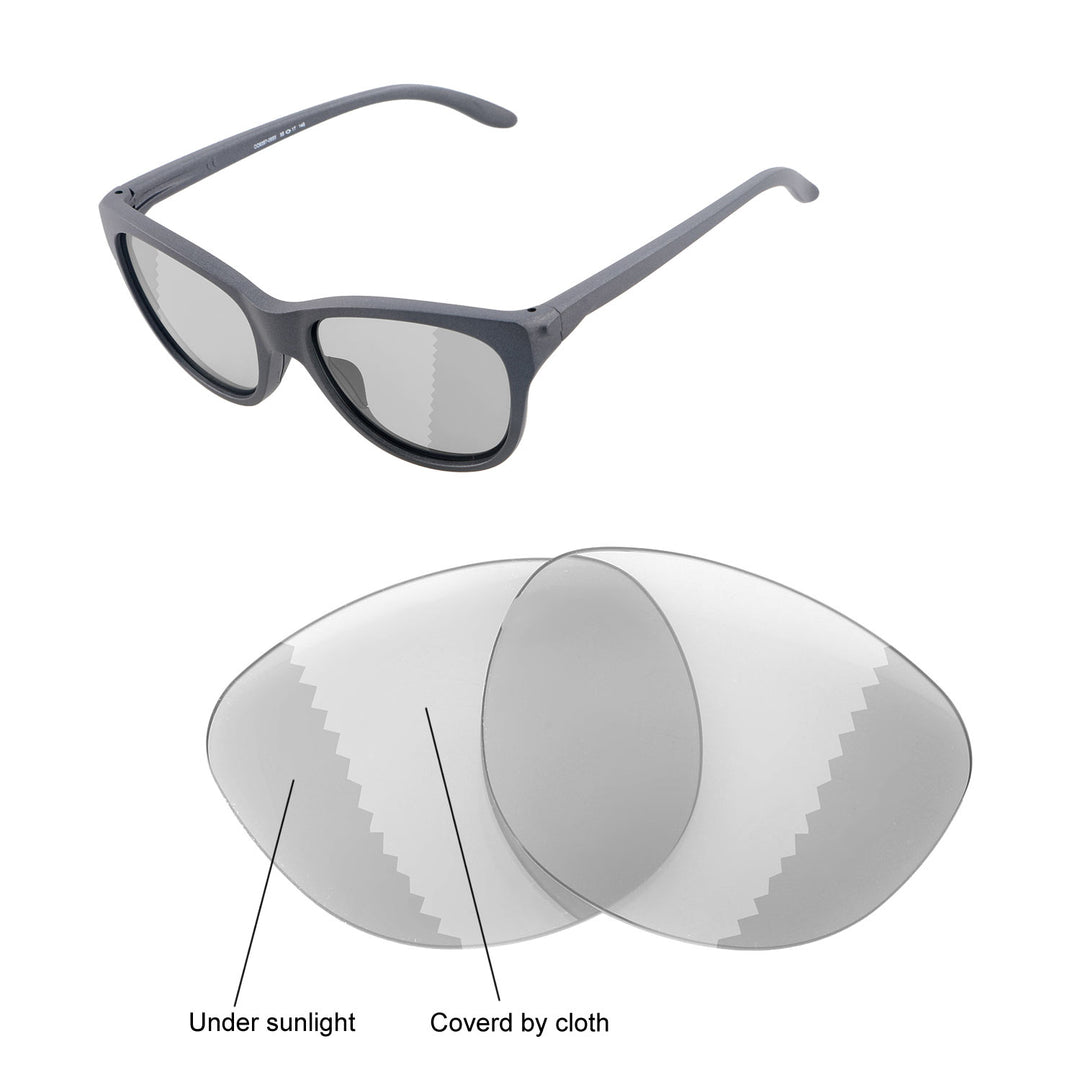 Transition Polarized