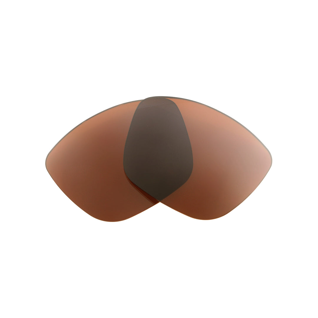 Brown Polarized