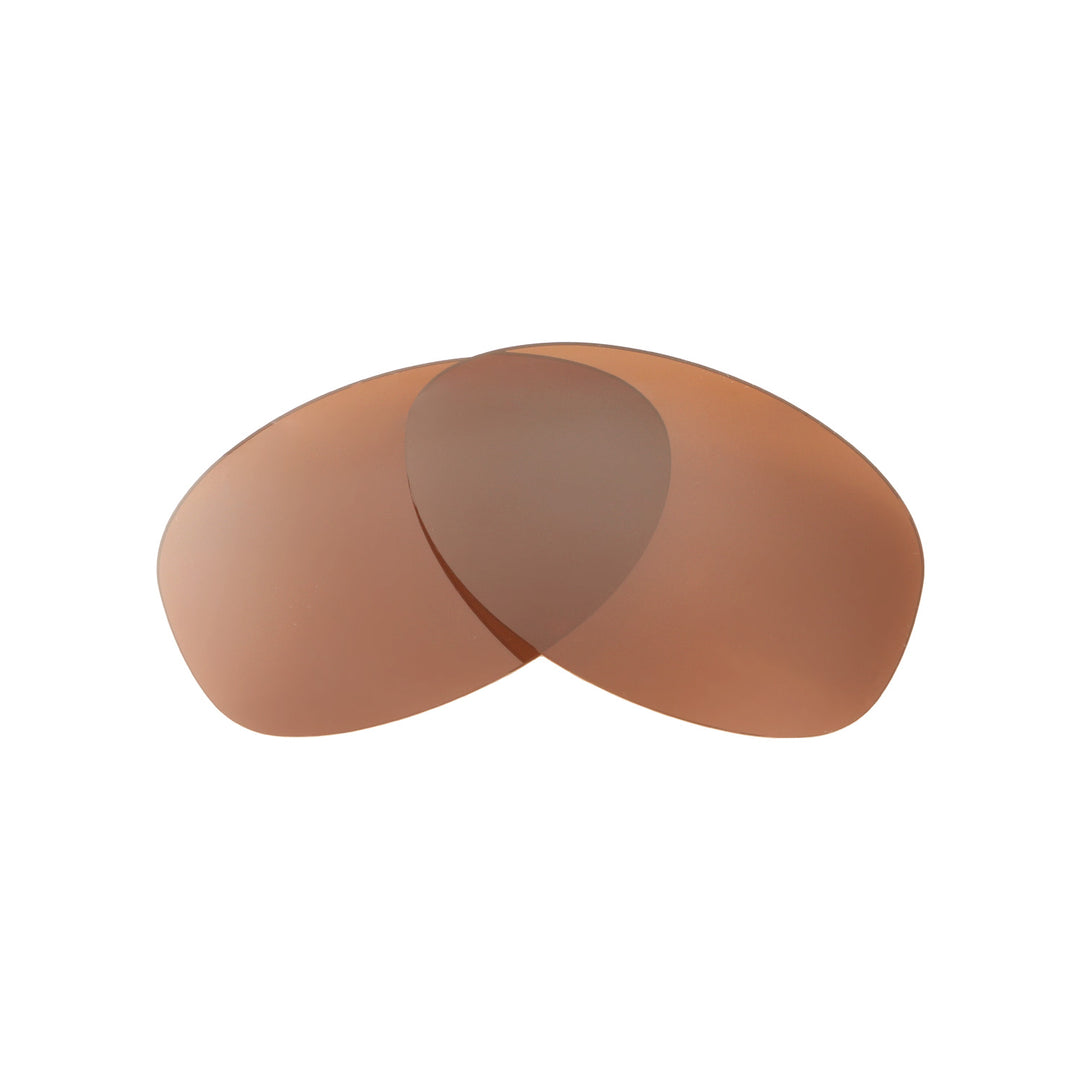 Brown Polarized
