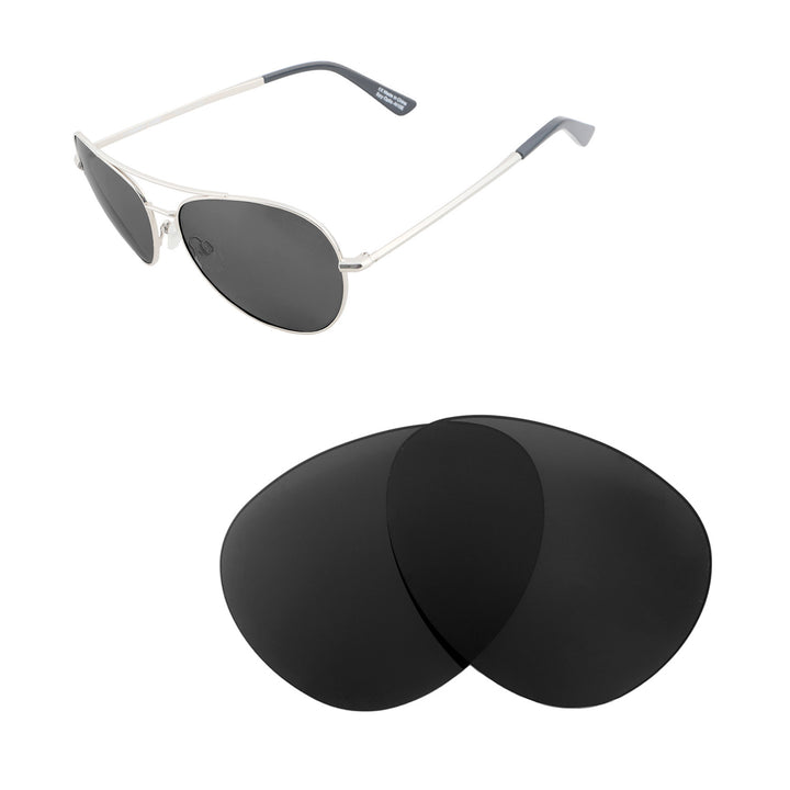 Black Polarized