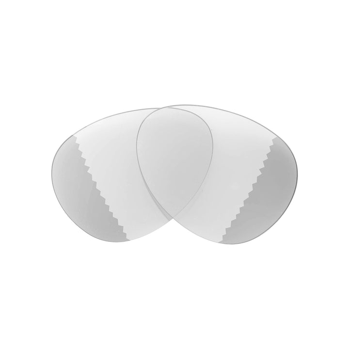 Transition Polarized