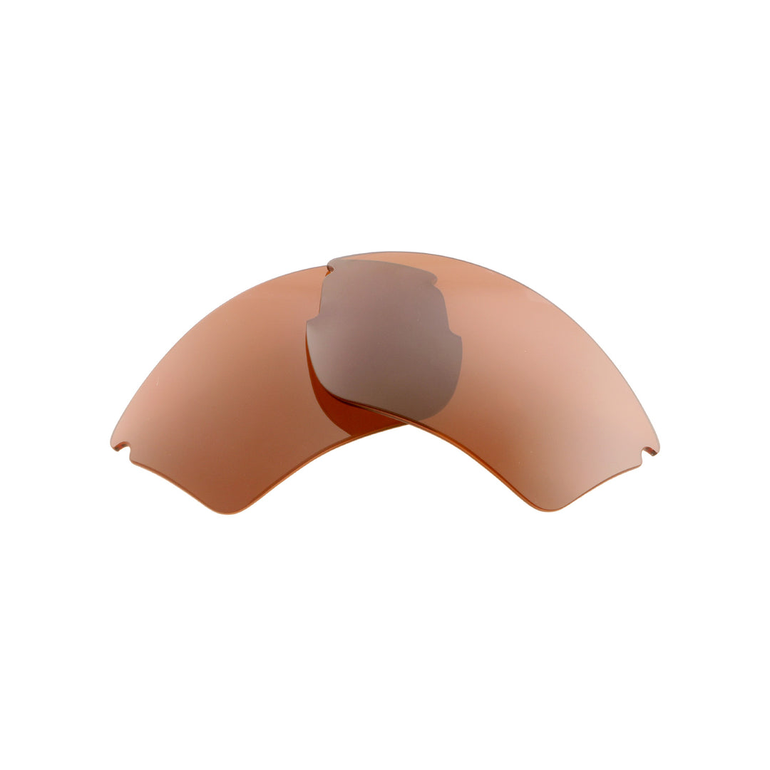 Brown Polarized